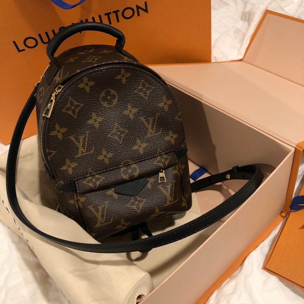Louis Vuitton Palm spring Mini